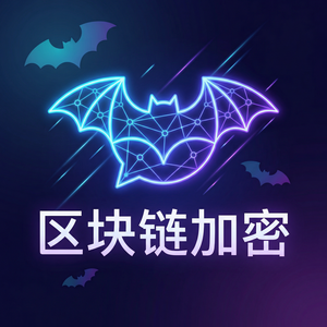 蝙蝠聊天 - 蝙蝠聊天软件同态加密技术展望